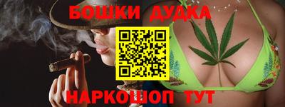 МДПВ Гатчина