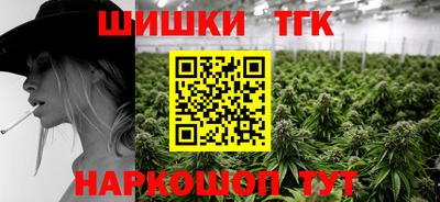 МДПВ Гатчина