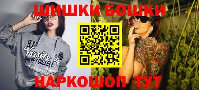 МДПВ Гатчина